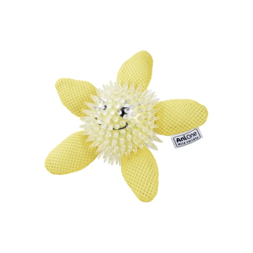 AniOne Jouet d’eau Étoile de mer S-M