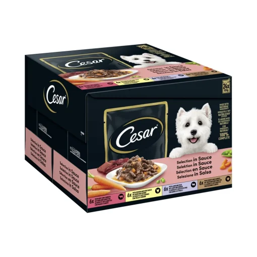 Cesar Feines en sachet fraîcheur Mulitpack 24 x 100 g