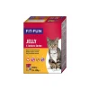 FIT+FUN Adult Jelly 4 variétés 12 x 100 g
