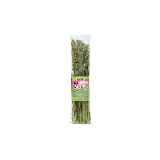 MultiFit rongeur snack chips d'avoine 120 g