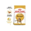 ROYAL CANIN Bengal Adulte Croquettes Chat 10 kg