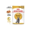 ROYAL CANIN British Shorthair Adulte en sauce 12x85 g