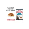 ROYAL CANIN Care Urinary en sauce 12x85 g