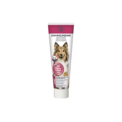 TAKE CARE Dentifrice 100 ml